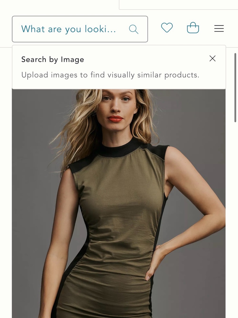 Anthropologie Olive and Black Panel Midi Dress